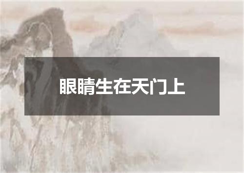 眼睛生在天门上