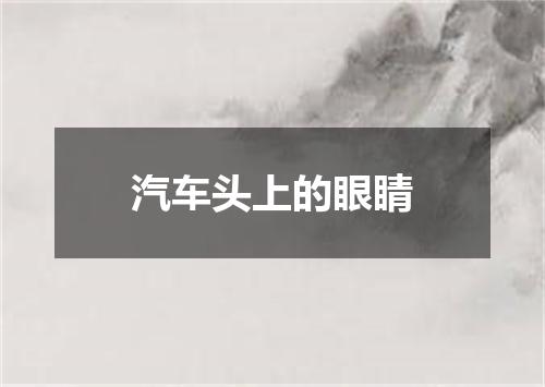汽车头上的眼睛