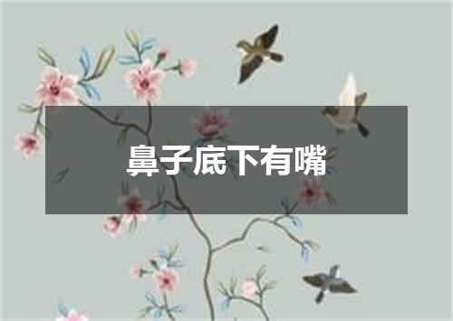 鼻子底下有嘴