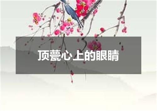 顶甍心上的眼睛