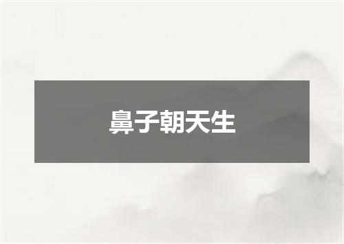 鼻子朝天生