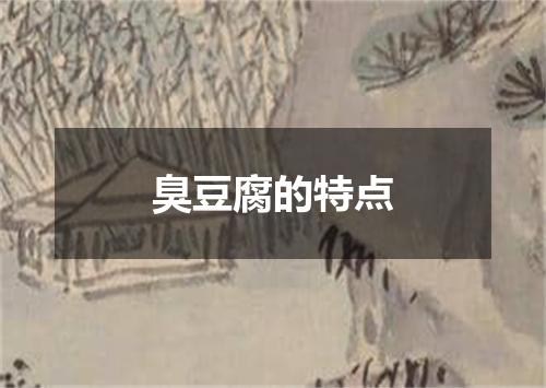 臭豆腐的特点