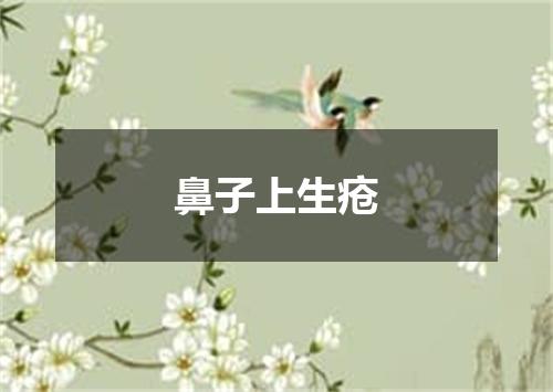 鼻子上生疮