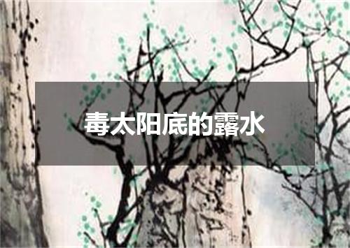 毒太阳底的露水