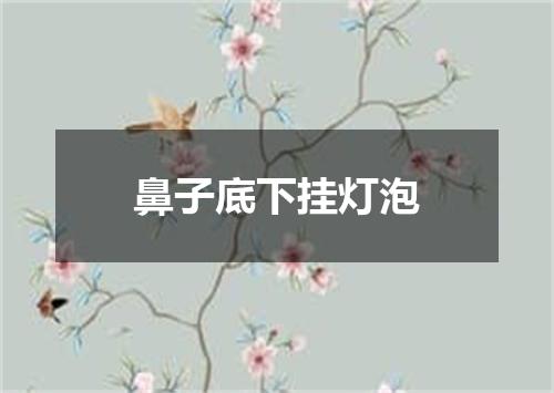 鼻子底下挂灯泡
