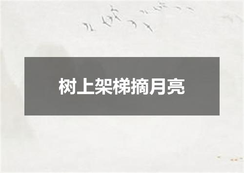 树上架梯摘月亮