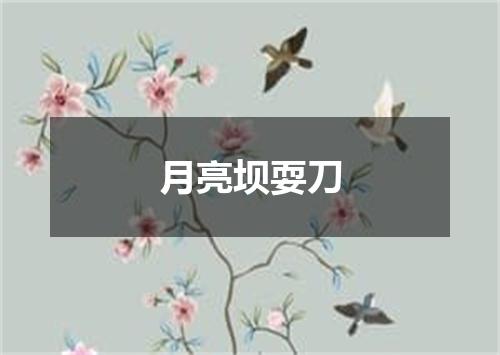 月亮坝耍刀