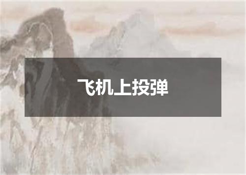 飞机上投弹
