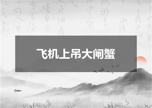 飞机上吊大闸蟹