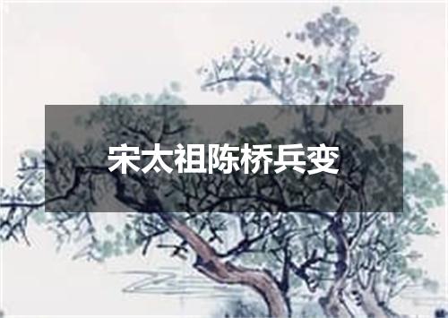 宋太祖陈桥兵变
