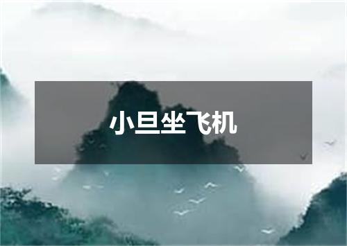 小旦坐飞机