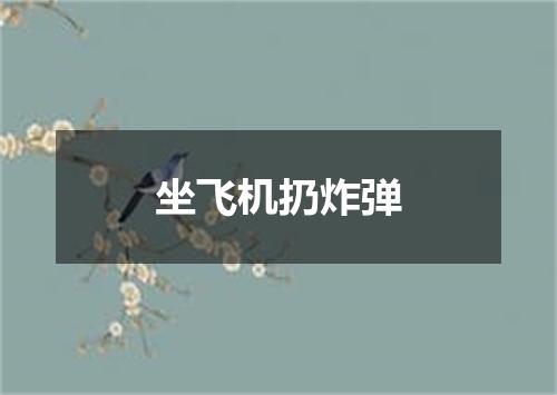 坐飞机扔炸弹