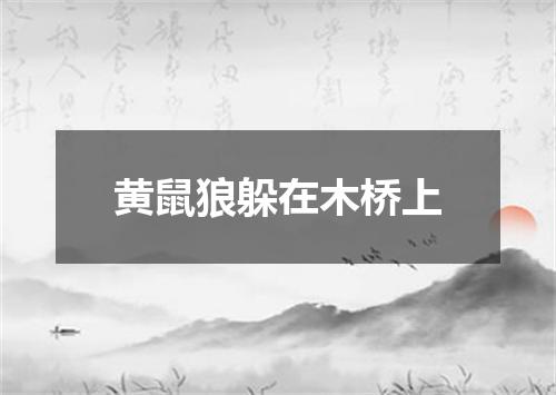 黄鼠狼躲在木桥上