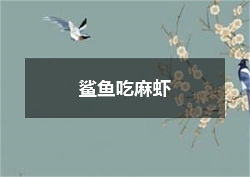 鲨鱼吃麻虾