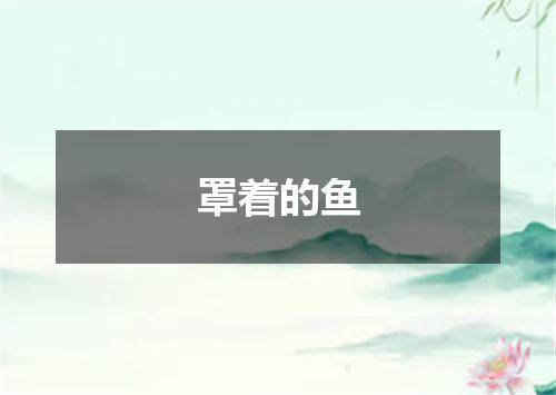 罩着的鱼