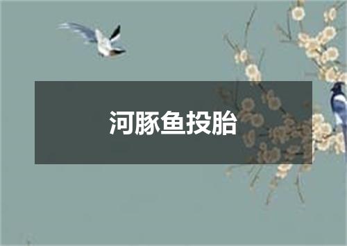 河豚鱼投胎