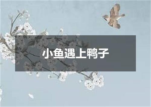 小鱼遇上鸭子