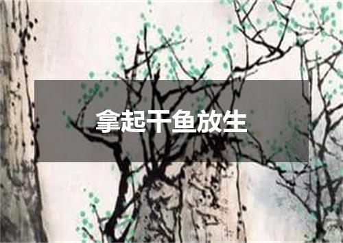 拿起干鱼放生