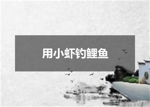 用小虾钓鲤鱼