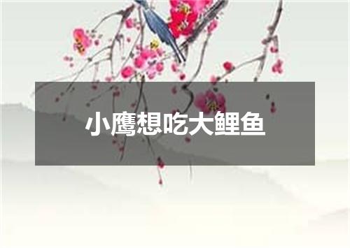 小鹰想吃大鲤鱼