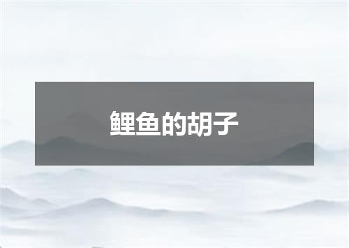 鲤鱼的胡子