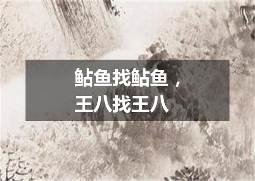 鲇鱼找鲇鱼，王八找王八