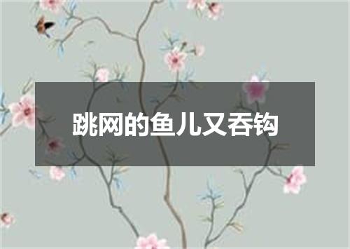 跳网的鱼儿又吞钩
