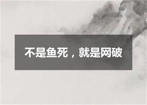 不是鱼死，就是网破