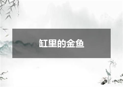 缸里的金鱼