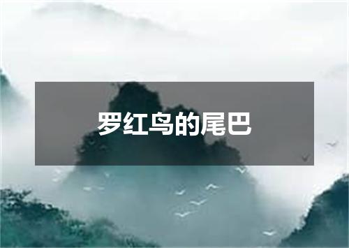 罗红鸟的尾巴