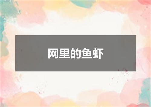 网里的鱼虾
