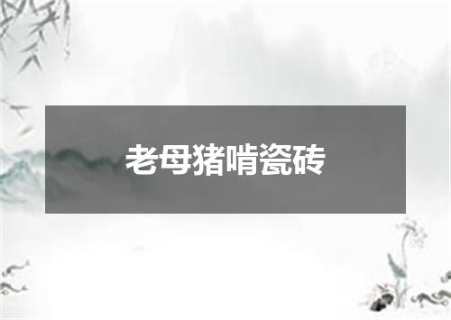 老母猪啃瓷砖
