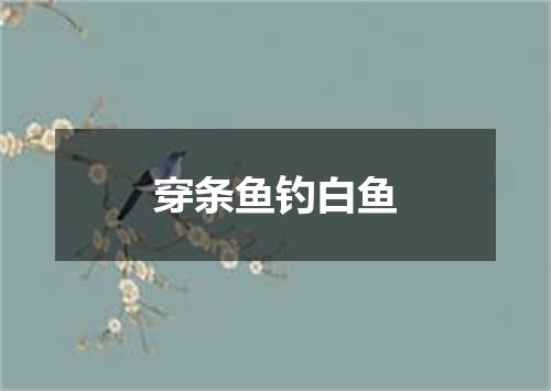 穿条鱼钓白鱼