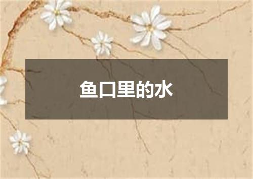 鱼口里的水