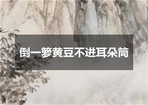 倒一箩黄豆不进耳朵筒
