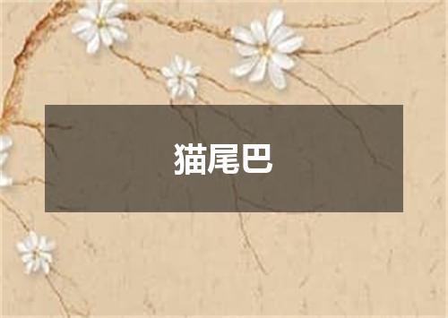 猫尾巴