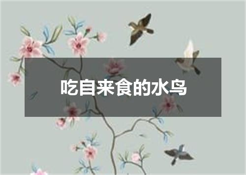 吃自来食的水鸟