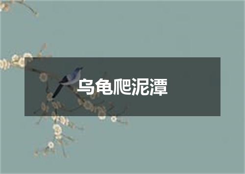 乌龟爬泥潭
