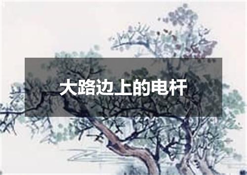 大路边上的电杆