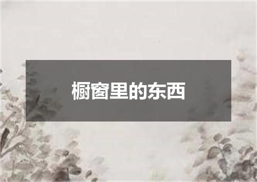 橱窗里的东西