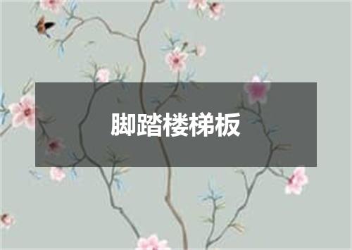 脚踏楼梯板
