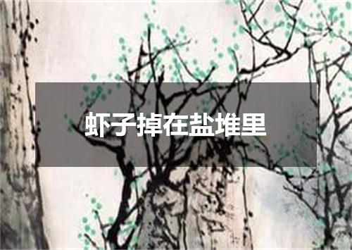 虾子掉在盐堆里