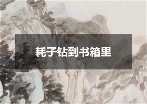 耗子钻到书箱里