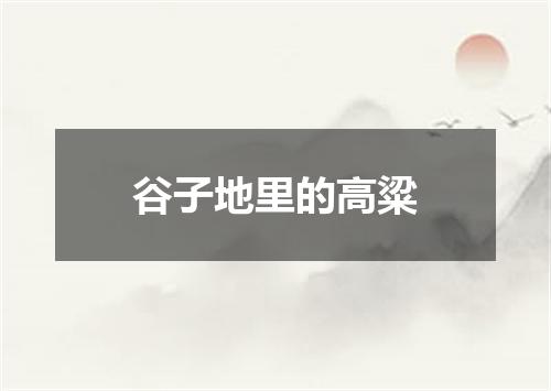 谷子地里的高粱