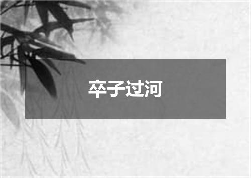 卒子过河