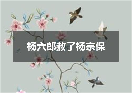 杨六郎赦了杨宗保