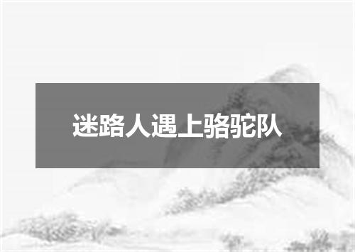 迷路人遇上骆驼队