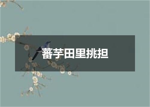 蕃芋田里挑担