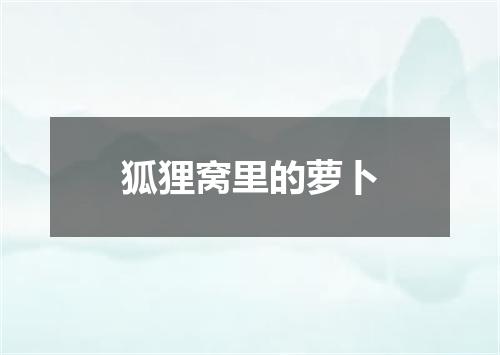 狐狸窝里的萝卜