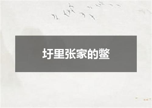 圩里张家的鳖